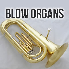 ORGAN